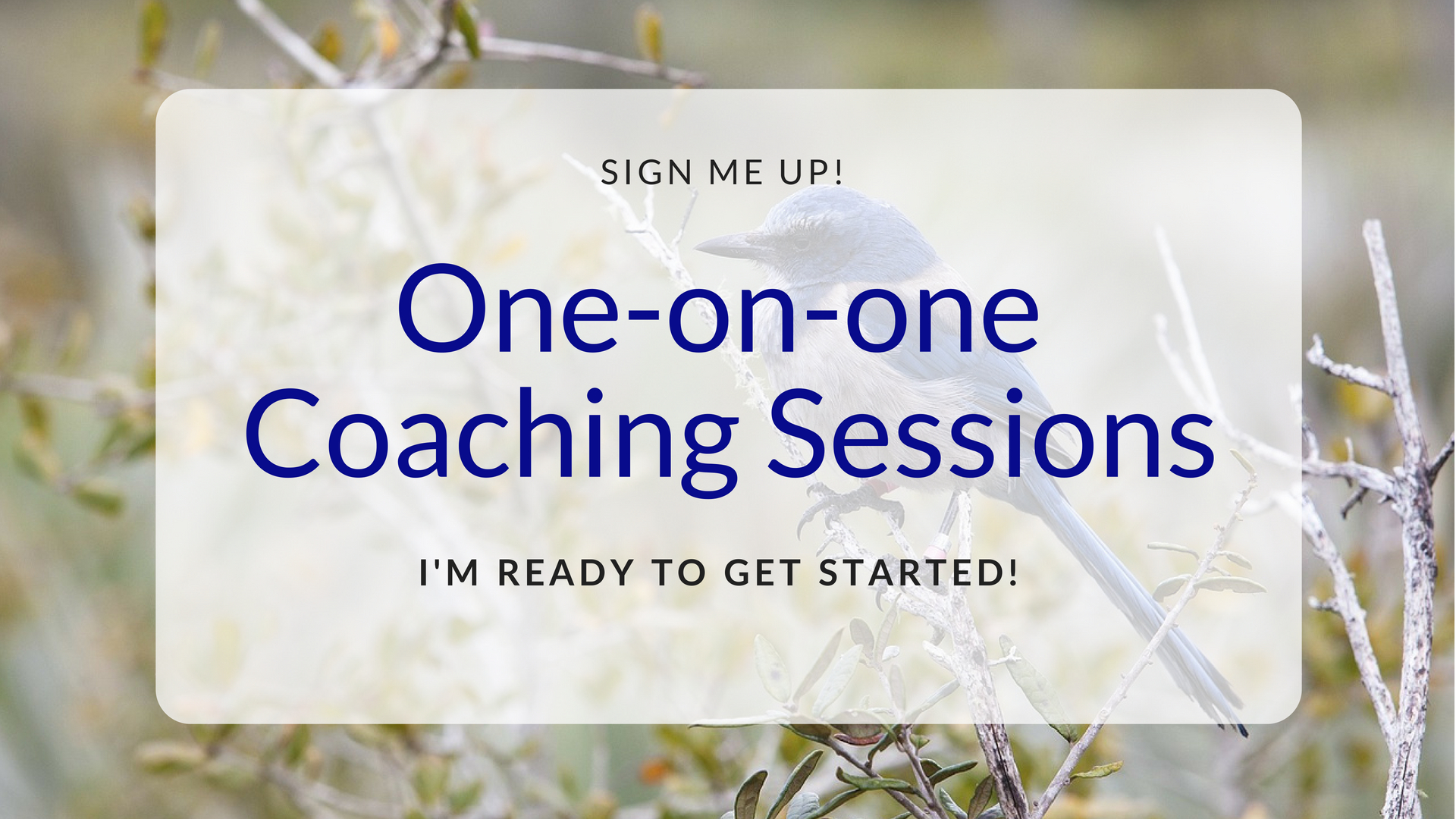 One-on-One Coaching Session